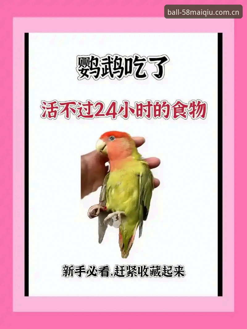 新手必看！5个步骤教你快速上手58买球体育平台的在线投注体验