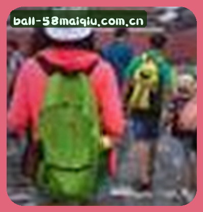 赵磊